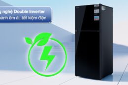 Những lý do tủ lạnh Funiki HR T8286GB 286 lít được nhiều gia đình ưa chuộng