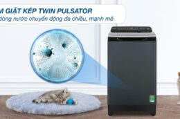 Máy giặt Aqua 12kg AQW-FR120HT.BK: Những điểm nổi bật và hạn chế cần biết