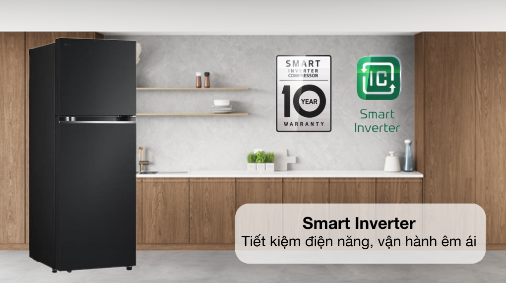 Tủ Lạnh LG Inverter 2 Cánh 315 Lít LTB31BLMA