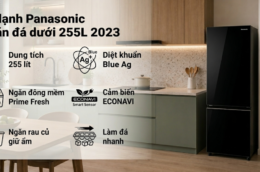 Tủ lạnh Panasonic NR-BV281BVKV 255 lít phù hợp với gia đình từ 2-3 người